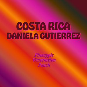 Costa Rica Tarrazu Daniela Gutierrez