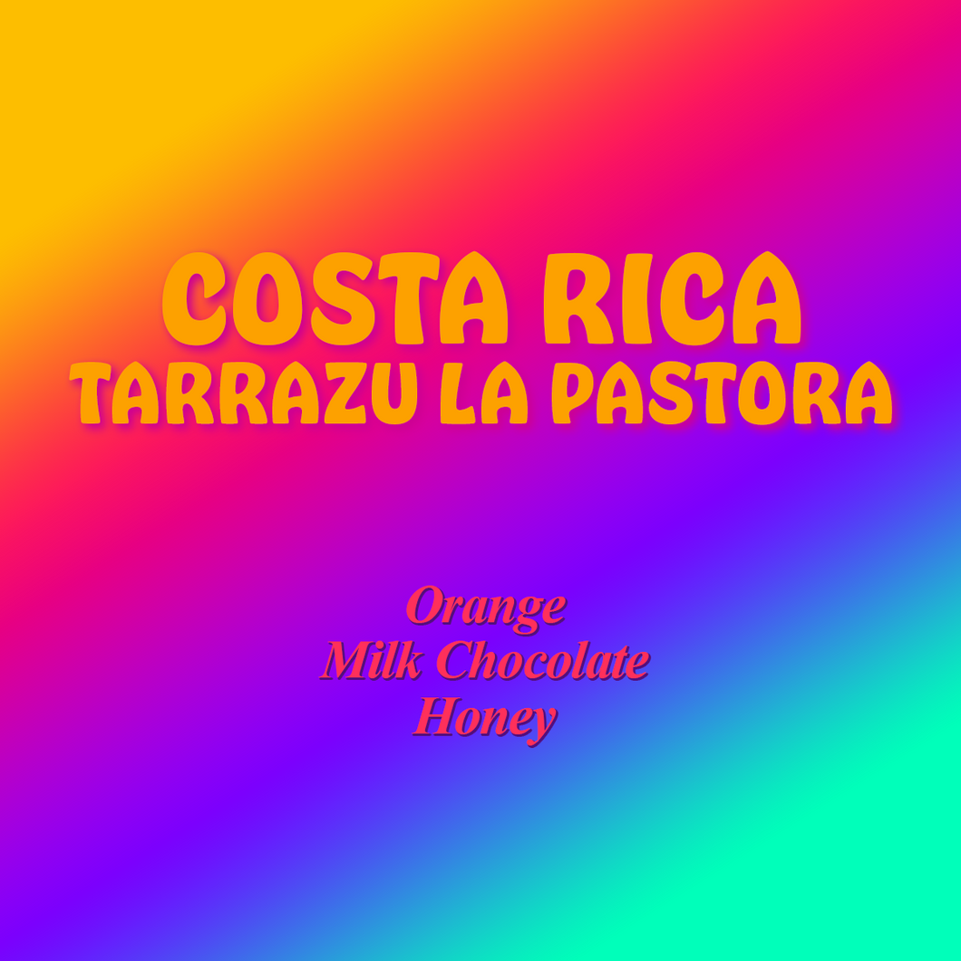 Costa Rica Tarrazu La Pastora